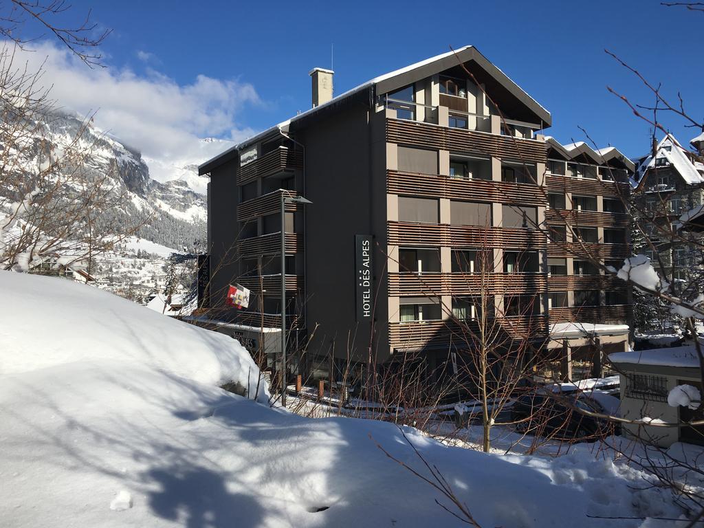 Hotel Des Alpes 3*